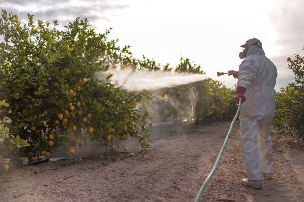 Best Mosquito Control Services  in Adelphi, MD