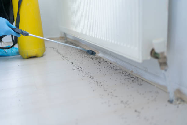 Adelphi, MD Pest Control Company