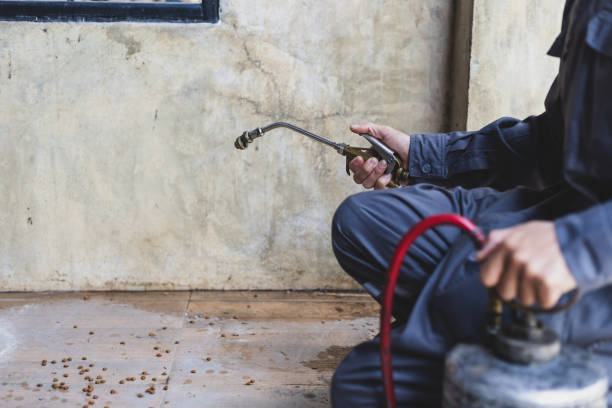 Best Wasp Removal Services  in Adelphi, MD